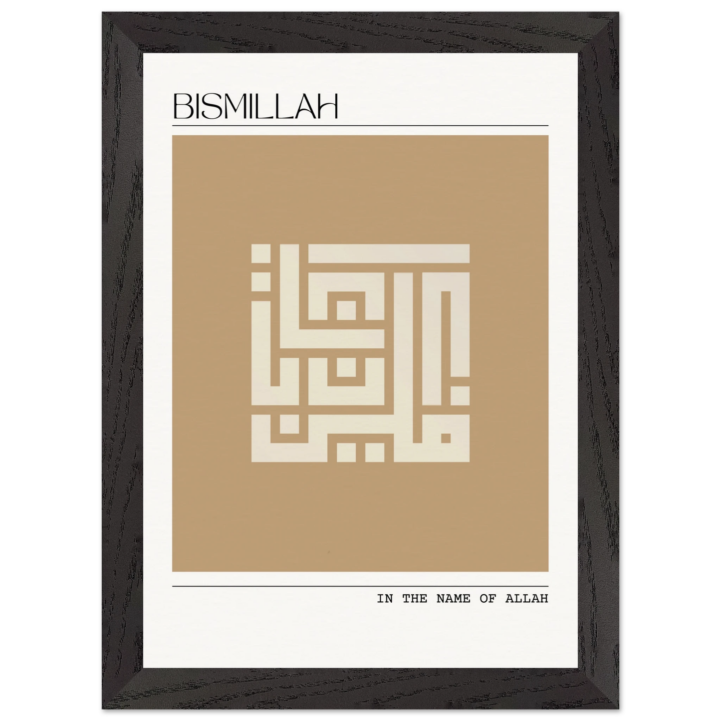 2fe91b09-bf99-485e-a241-5d259e9894e8