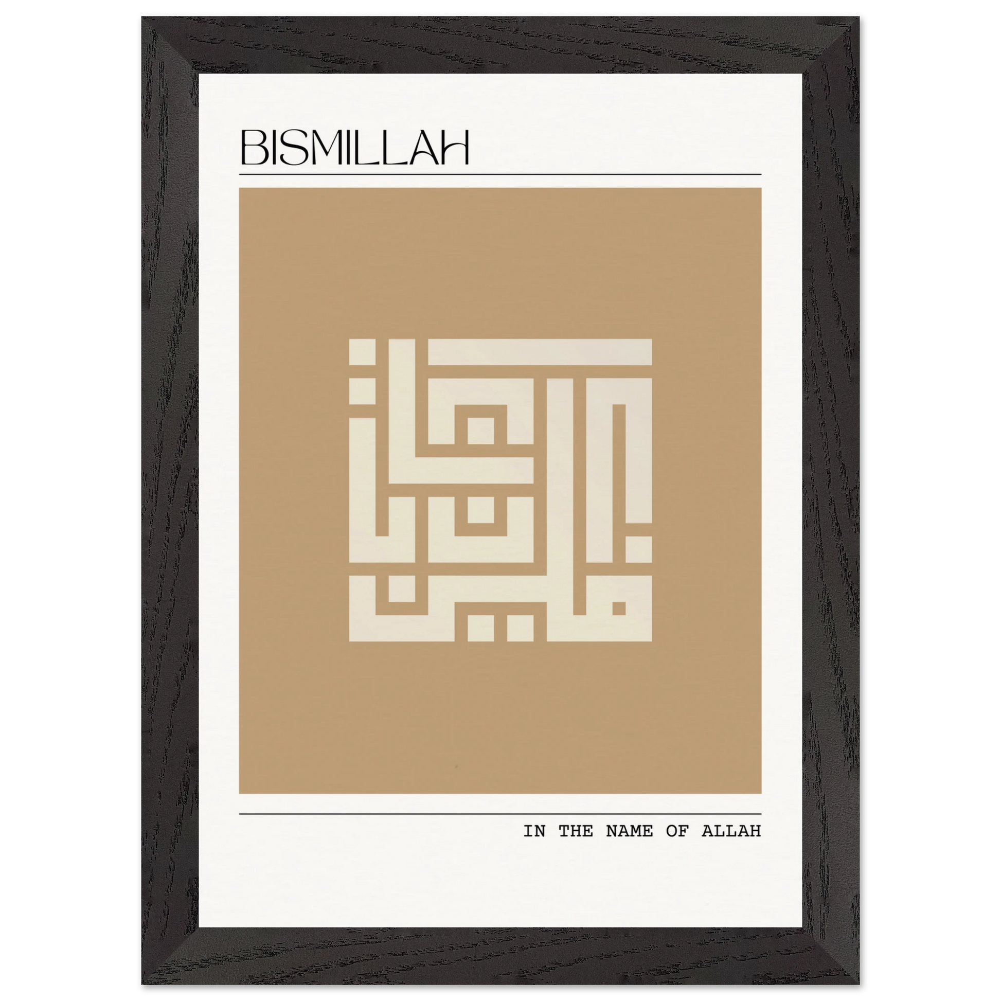 2fe91b09-bf99-485e-a241-5d259e9894e8